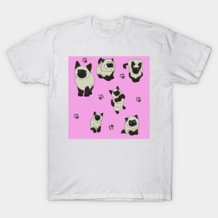 Pink Siamese Kittens T-Shirt